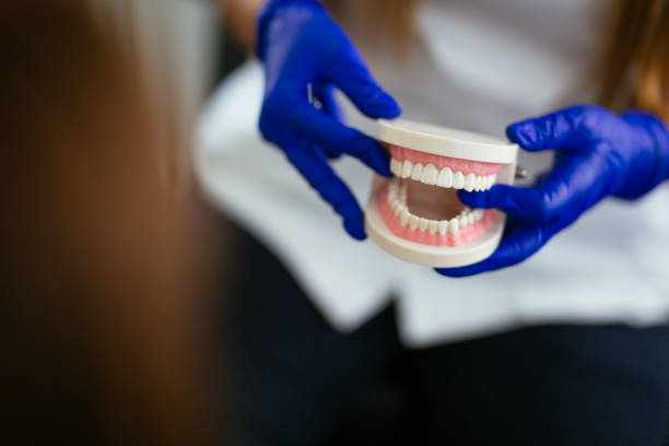 Emergency Dental Services in Forest Hills, PA